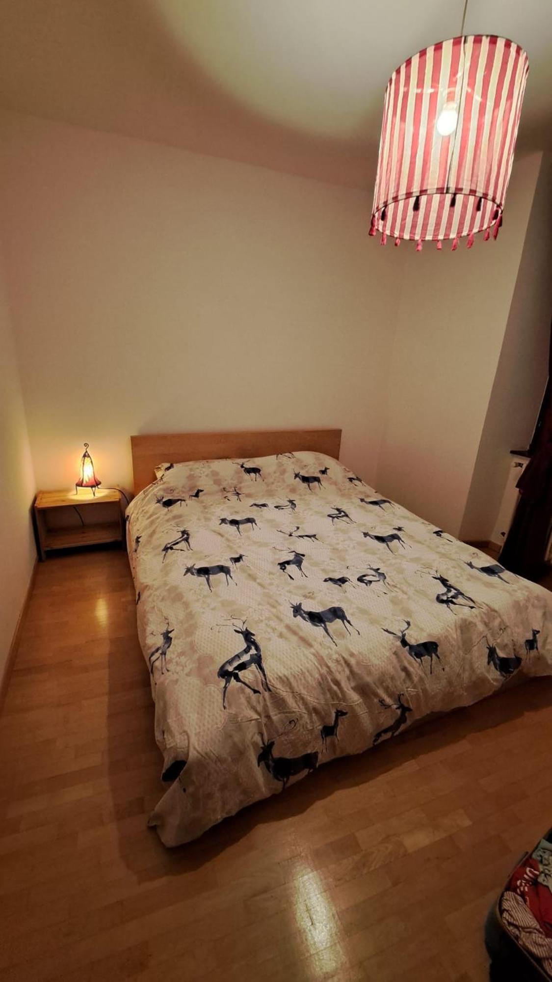 カズラノCasa Aurora 1アパートメント エクステリア 写真