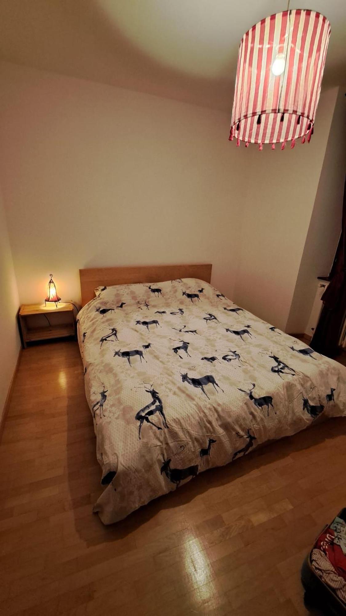 カズラノCasa Aurora 1アパートメント エクステリア 写真